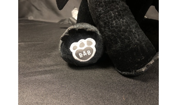 Big image traindragon4