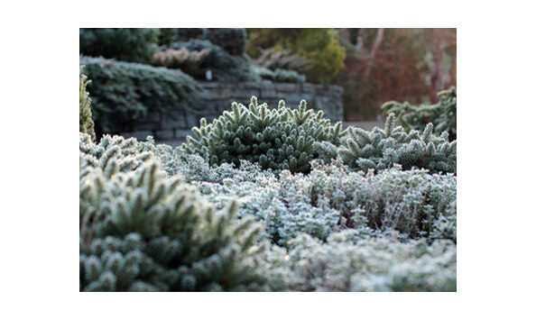 Big image cornell botanic gardens 3up wintergdn 418x293