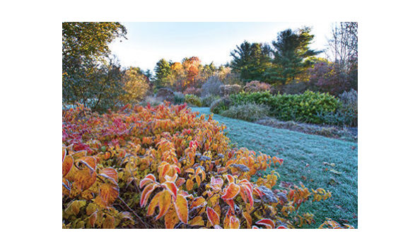 Big image cornell botanic gardens 3up zucker 418x293