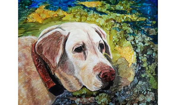 Big image 99 petportrait 1