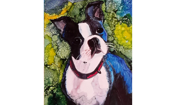 Big image 99 petportrait 2