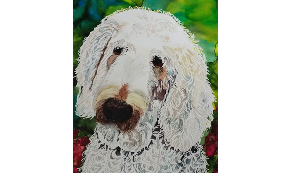 Big image 99 petportrait 3