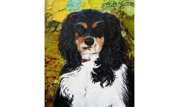 Big image 99 petportrait 4