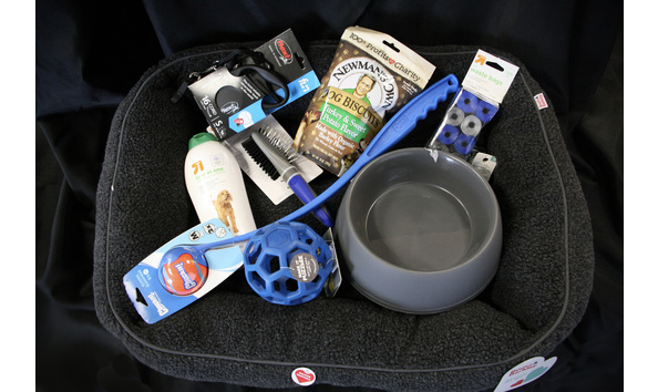 Big image bb12e6c4 75e4 45dd 919f 611dd7ed3a73 1 105 c