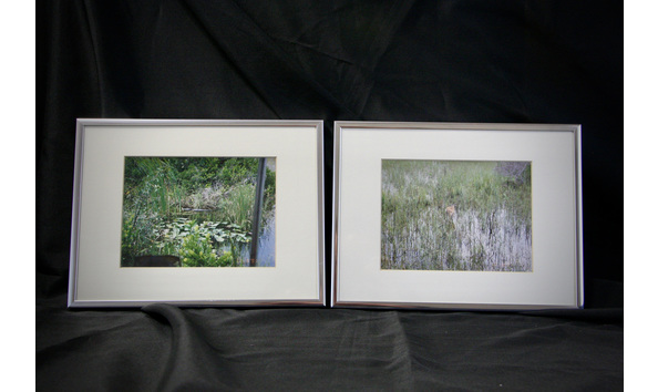 Big image 45f80b1d 48bb 41d1 b2e5 150468d3333f 1 105 c