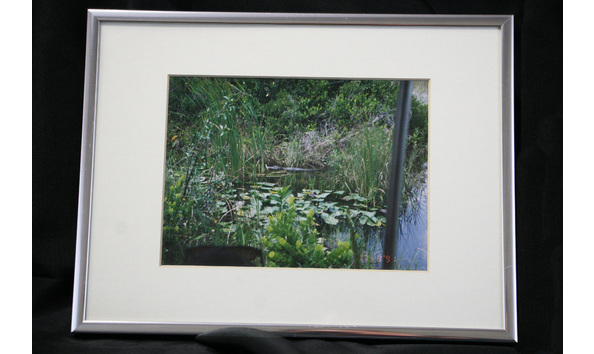 Big image ae5ca3dd 6c9c 4f95 bad1 7d9b91b133f5 1 201 a