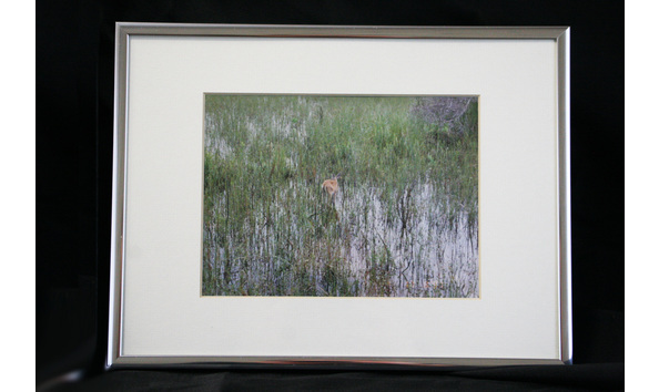 Big image 7e7f90fe 4e5b 45f9 b3b3 c7a2d87b6c48 1 105 c