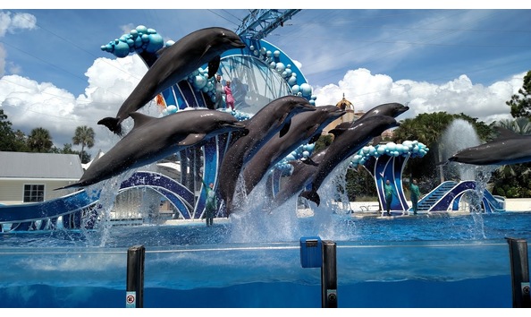 Big image seaworld tickets