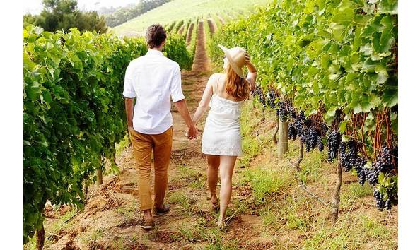 Big image napa couple.is .900x600