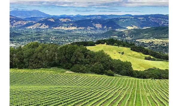 Big image sonoma hills.dt 900x600