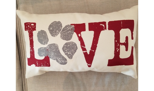 Big image 20210219 150638