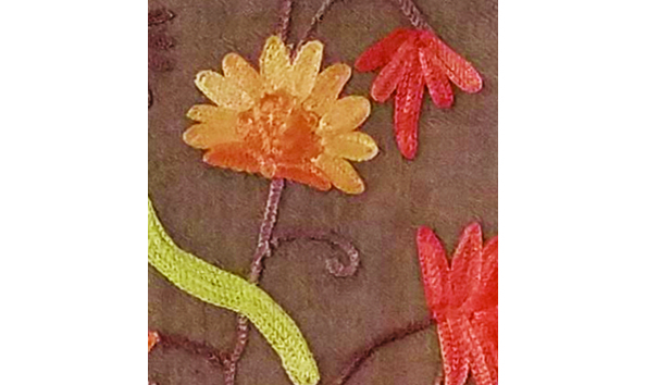 Big image 30 aarishawl 2