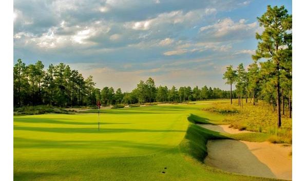 Big image dormie club