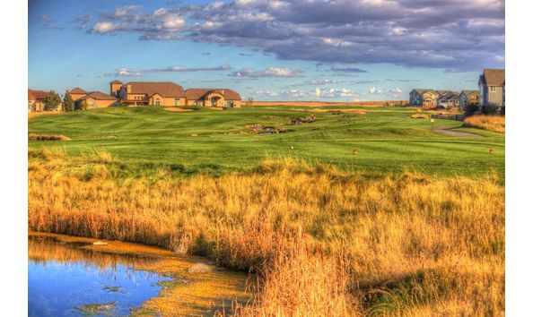 Big image buffalo run