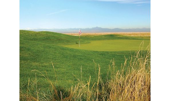 Big image buffalo run2