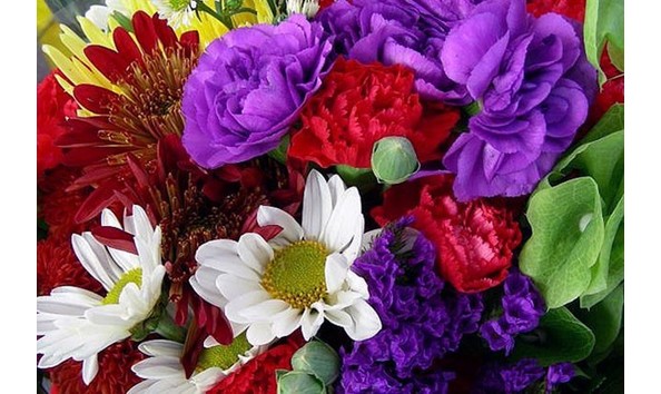 Big image especially yours