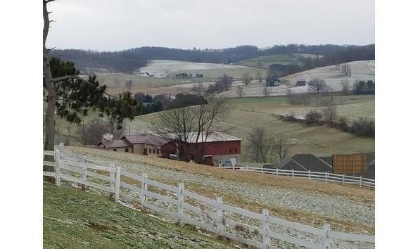 Big image dutchman 5