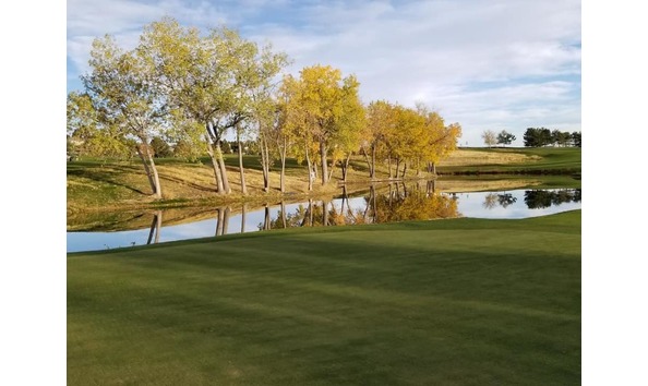 Big image south suburban 18 green