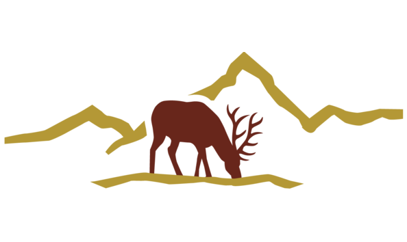 Big image cornerstone