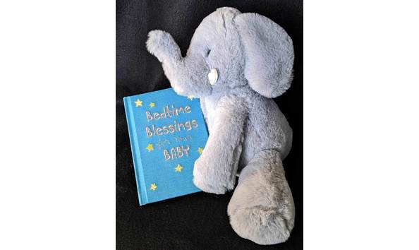 Big image baby elephant