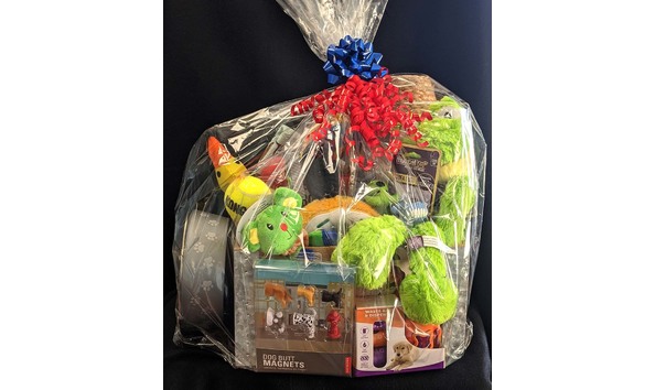 Big image shanklinpetsbasket