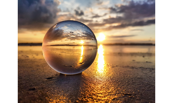 Organization Main Image