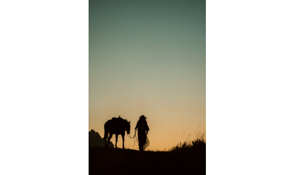 Big image screen shot 2021 03 08 at 2.17.32 pm