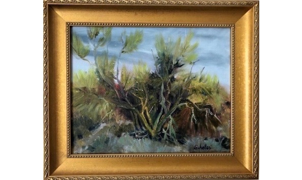 Big image 0ef2391a cd7c 4d09 b801 779a5ae09d52 1 201 a