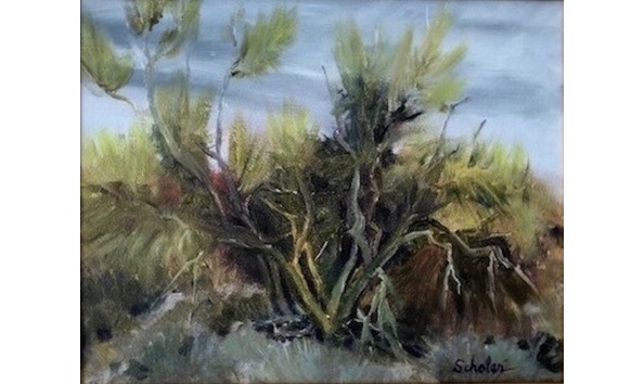 Big image 18d4f570 f762 4cab ae55 6df1d353b605 1 201 a