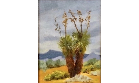 Big image 04baf0cb 7565 4da7 a577 8fea7b4b11fa 1 201 a