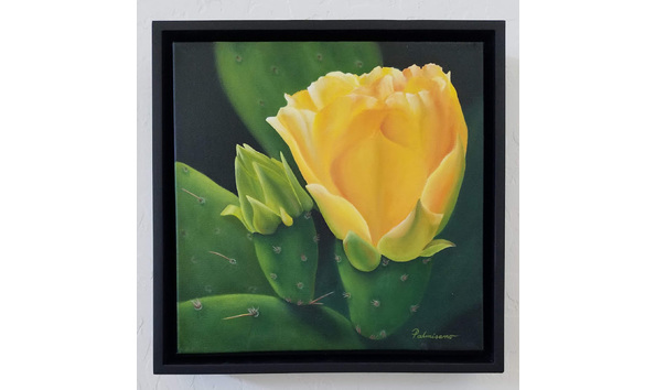 Big image c9c82421 3a77 46b5 b826 c8e8fcd6c842 1 201 a