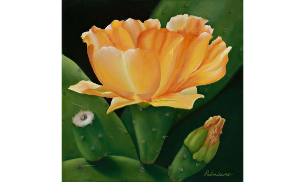 Big image 5b4d2064 a921 401f b283 365e387d0869 1 201 a