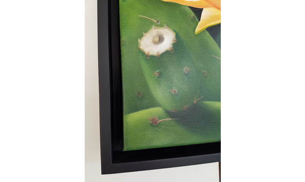 Big image 8f35c2de c664 40ca ba72 caf0cb3512db 1 201 a