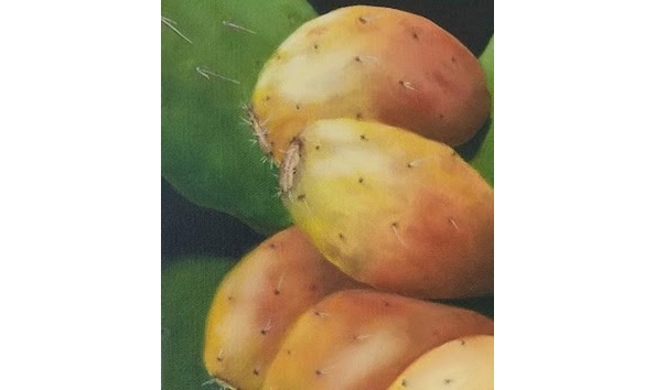 Big image e68a5185 86bb 4689 bfb7 1ec02023db27 1 201 a