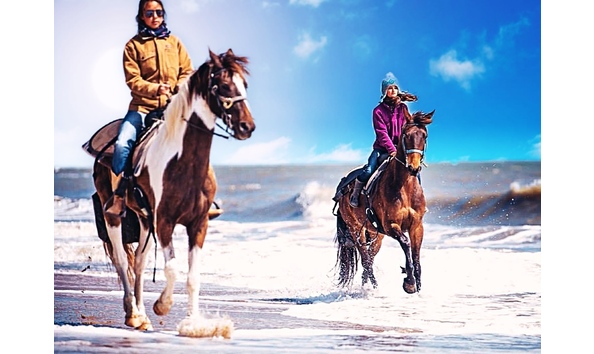 Big image fdd3a096 e6ad 4895 886b cf573cfbdc5c