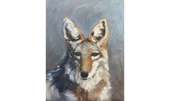 Big image 4d64df15 76fb 4783 9b21 ee2aad4ed9eb 1 201 a