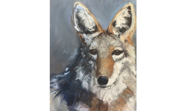 Big image f1e3209b ca54 4e5f 9730 09abdc5e918a 1 201 a