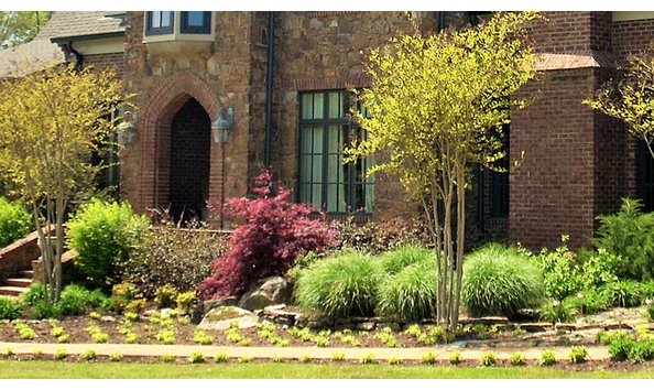 Big image landscape 7