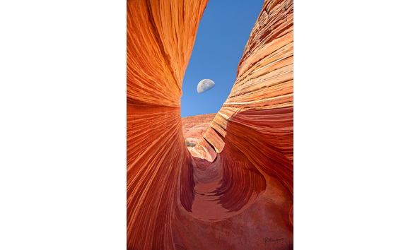 Big image a78fab1d 7e71 49d7 a542 20da60a94a58 1 201 a