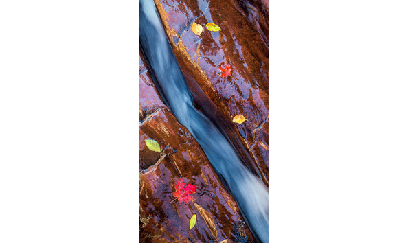 Big image 74726bc3 7a15 4b78 8e01 fd64d1397a82 1 201 a