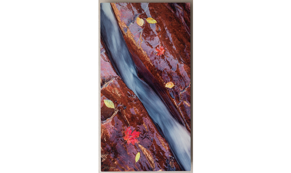 Big image 81693d9a 229a 4723 92c9 e83c4cbc18af