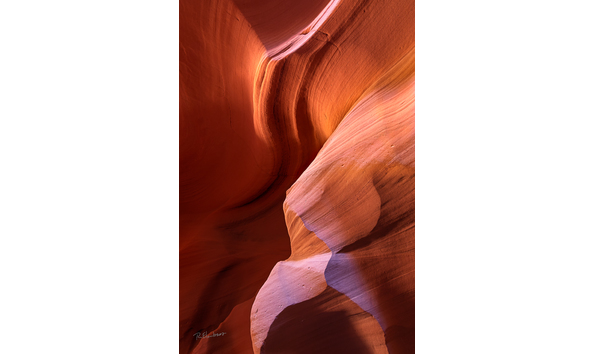 Big image c420f942 29f0 43c4 9f2b af4eb118d10e