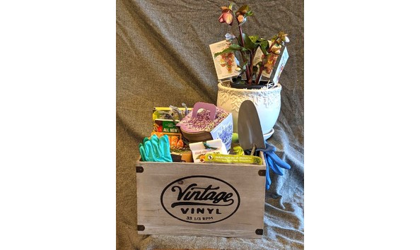 Big image first grade