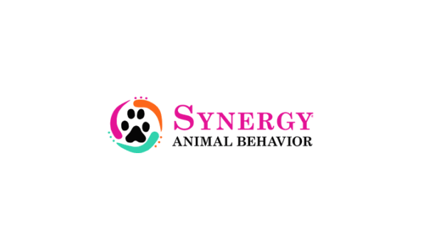Big image synergy logo