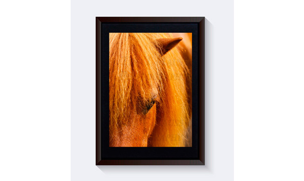 Big image ginger black frame
