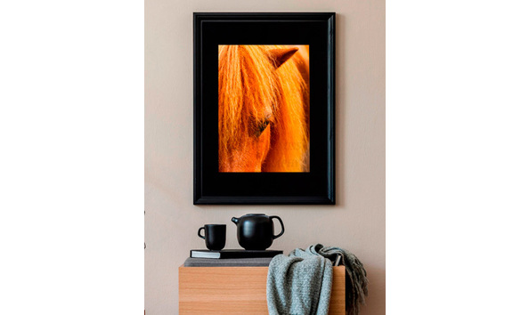 Big image ginger overdesk