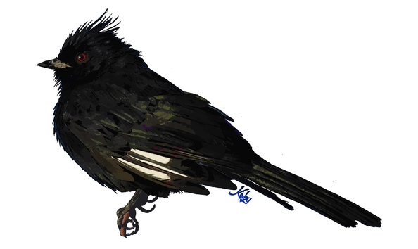 Big image 30a59414 c26e 42b6 91ef 338e20759a55