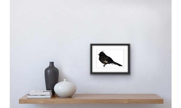 Big image a226a9a9 3072 4729 a24e 7935a5d7a306