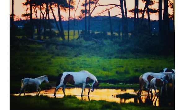 Big image dedcfaa9 66d6 46a7 b3f8 a6fc0aa0174f