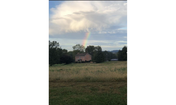 Big image screen shot 2021 03 13 at 12.07.12 pm